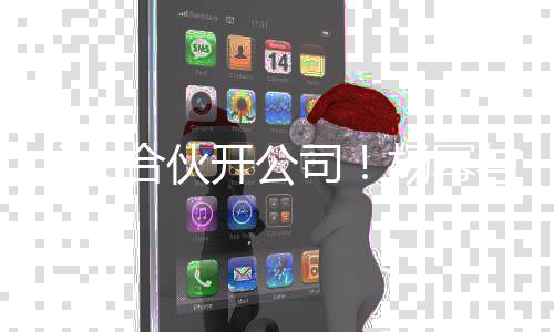 立新亲成公司 共股司开公同持合伙杨幂与父父女