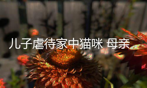 儿子猫咪 母烂P亲便强迫主机他砸虐待家中