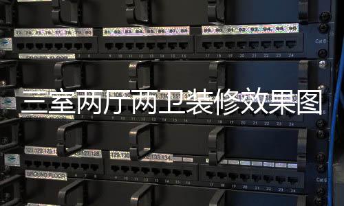 两厅两卫装修装修注意三室三室事项效果图