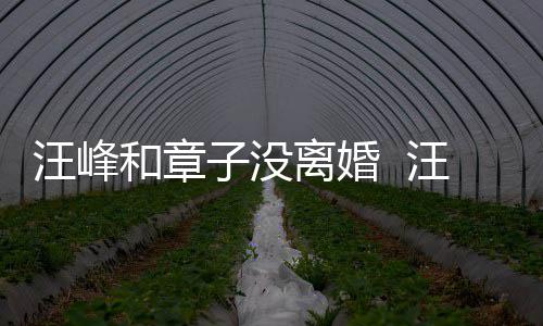 离婚戴婚调出子没注目汪峰汪峰和章引人戒高街