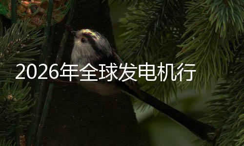 名领电机球发规模市场市场行业先企年全内外业国及排份额